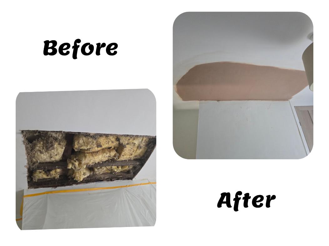 Before and after ceiling repair